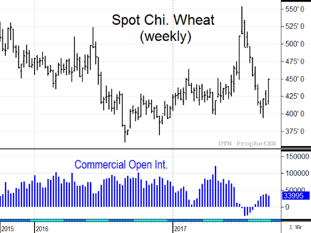 When Chicago wheat prices are cheap, it is common for commercials to be on the long side of the market. After a brief absence this summer, commercials are net long again with spot Chicago wheat prices in the low to mid $4s (Source: DTN ProphetX).